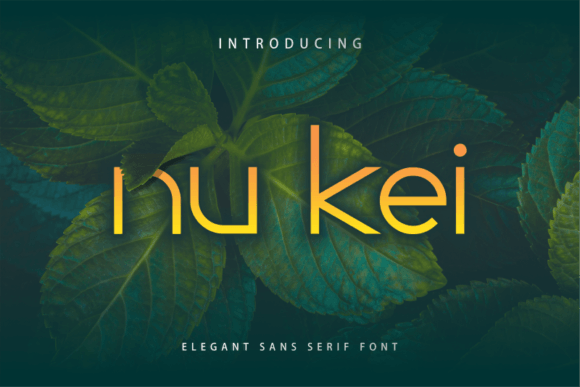 How Nu Kei Font Became My Brand’s Secret Weapon