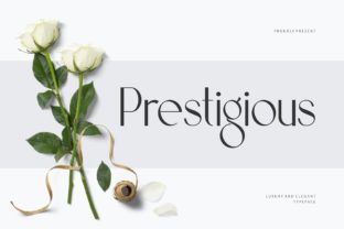 How Prestigious Became My Secret Weapon for Branding