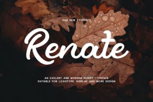 Using Renate Font for a Clearer Editorial Voice
